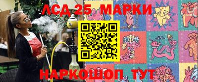 индика Бийск