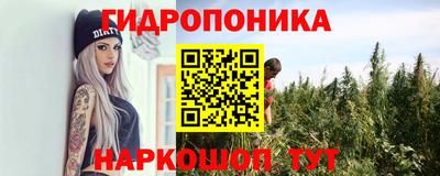 индика Бийск