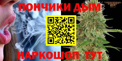 индика Бийск