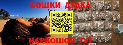 индика Бийск