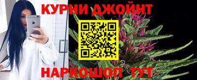 индика Бийск